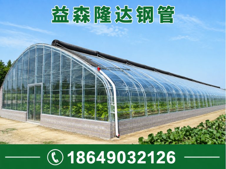 北辰区日光温室大棚，连栋温室大棚，单体大棚，塑料大棚，育苗大棚，养殖大棚展示图